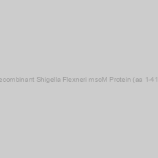 Image of Recombinant Shigella Flexneri mscM Protein (aa 1-415)